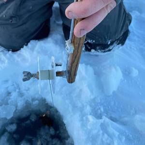 Meet your Posher, Pat